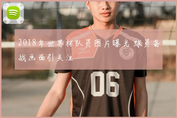 2018年世界杯队员图片曝光 球员备战画面引关注
