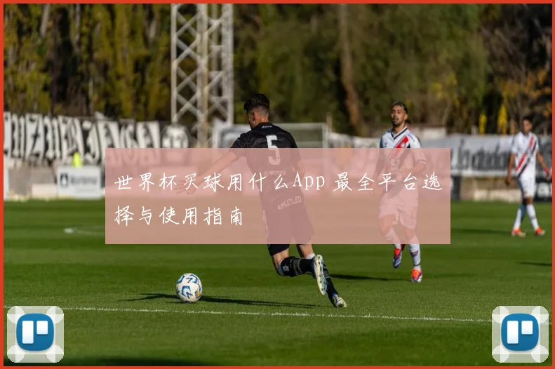 世界杯买球用什么App 最全平台选择与使用指南