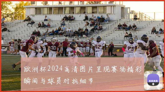 欧洲杯2024高清图片呈现赛场精彩瞬间与球员对抗细节