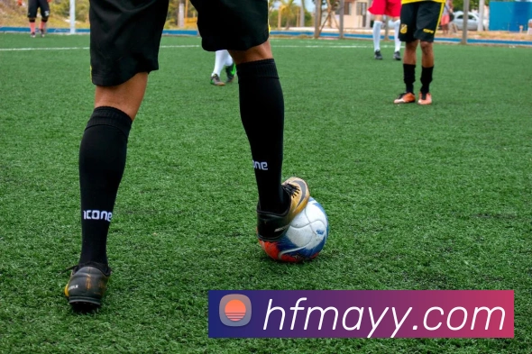 奖项证书